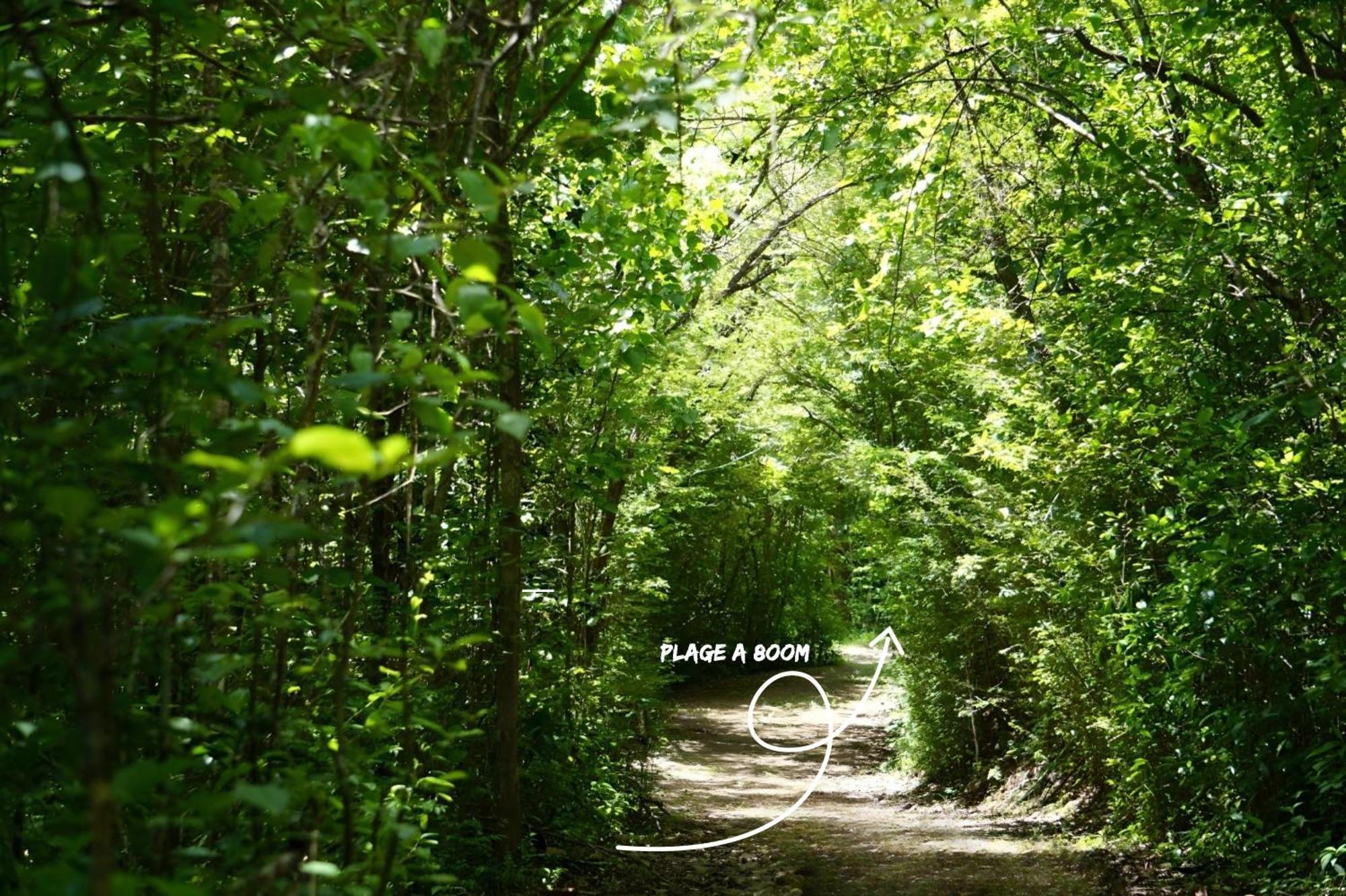 Domaine De L'Anse Ramier Les Trois-Ilets Exterior foto