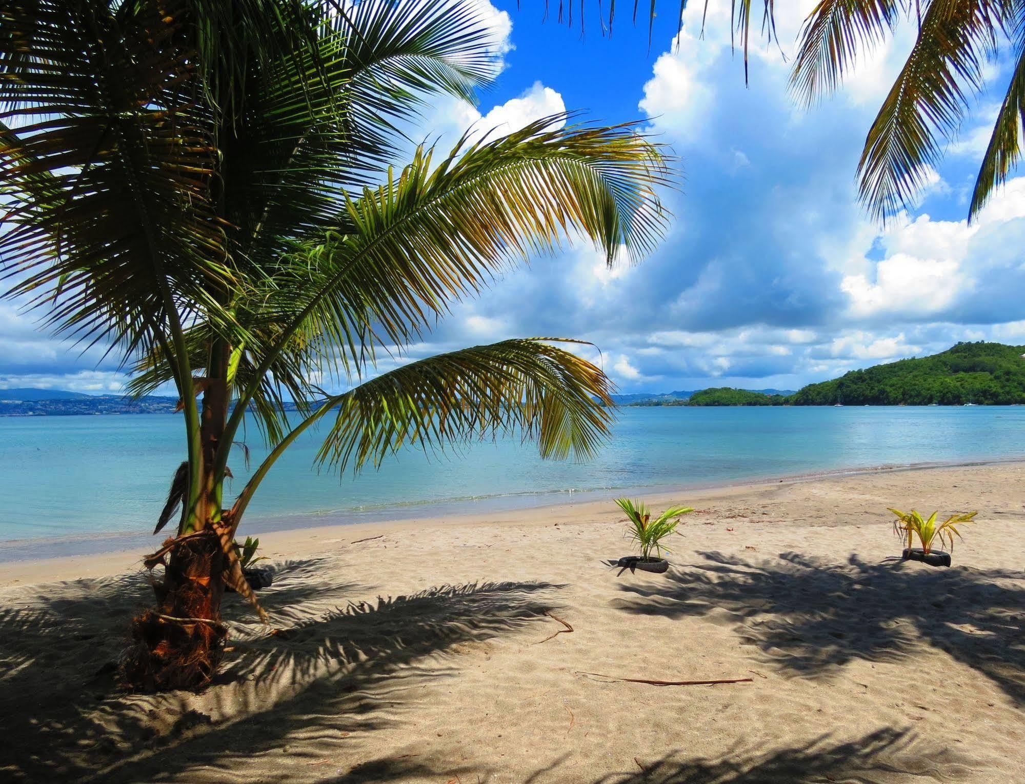 Domaine De L'Anse Ramier Les Trois-Ilets Exterior foto