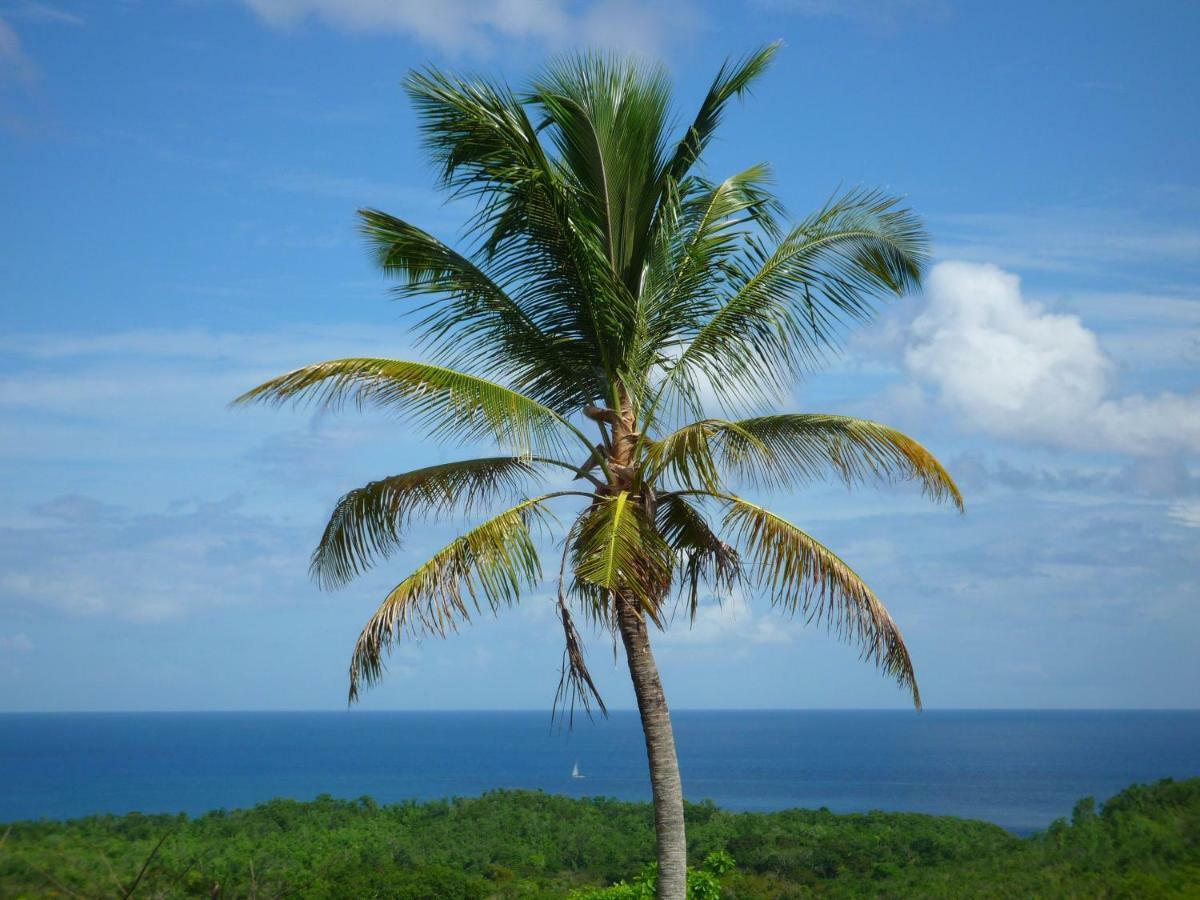 Domaine De L'Anse Ramier Les Trois-Ilets Exterior foto